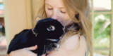 How Do Smart Pet Products Make Pet Ownership Easier and More Convenient?