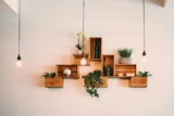 What Are the Best Indoor Plants for Interior Design?